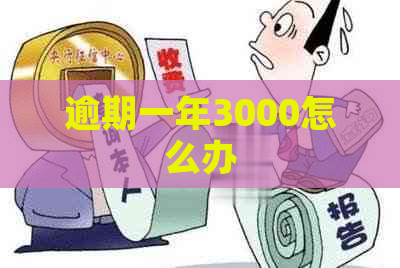 逾期一年3000怎么办