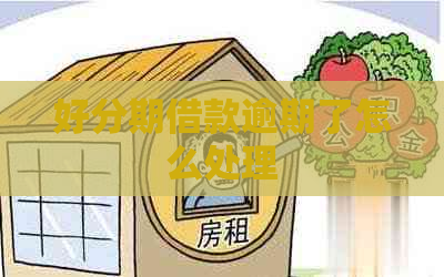 借款逾期了怎么处理