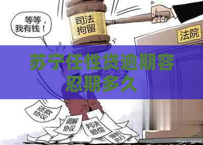 苏宁任性贷逾期容忍期多久