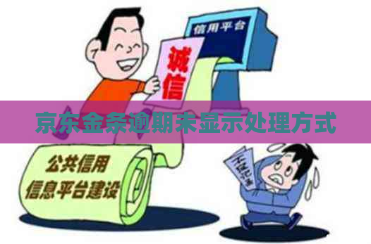 京东金条逾期未显示处理方式