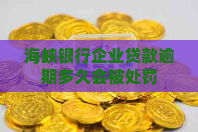 海峡银行企业贷款逾期多久会被处罚