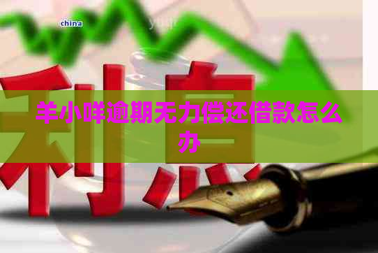 羊小咩逾期无力偿还借款怎么办