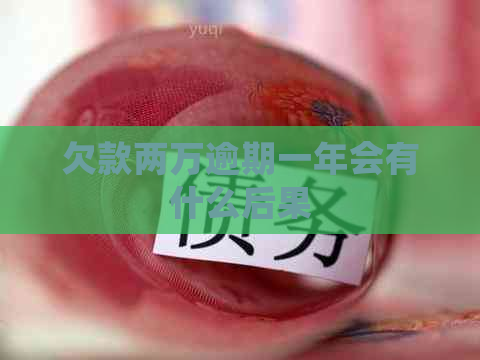 欠款两万逾期一年会有什么后果