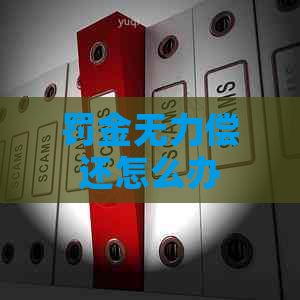 罚金无力偿还怎么办