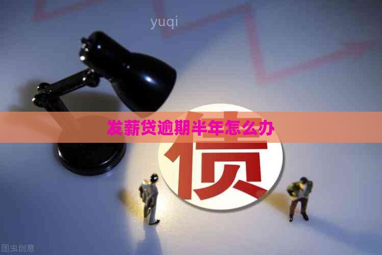 发薪贷逾期半年怎么办