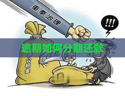 逾期如何分期还款