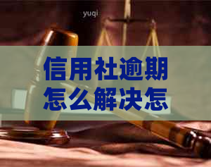 信用社逾期怎么解决怎么办呢