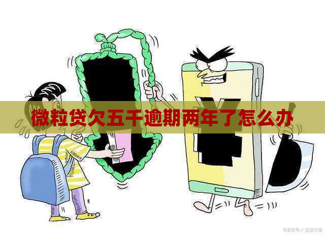 微粒贷欠五千逾期两年了怎么办