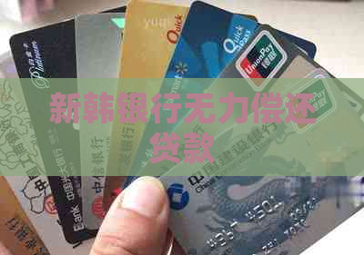 新韩银行无力偿还贷款