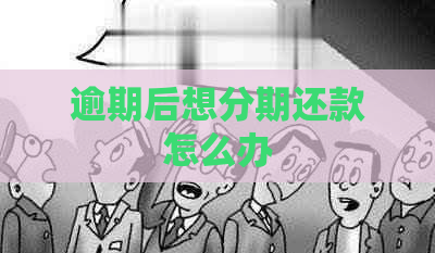 逾期后想分期还款怎么办