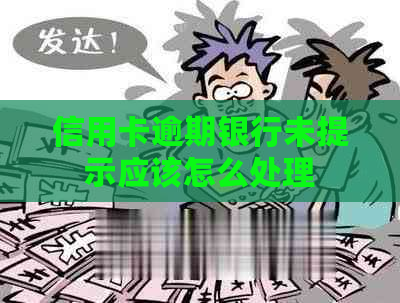 信用卡逾期银行未提示应该怎么处理