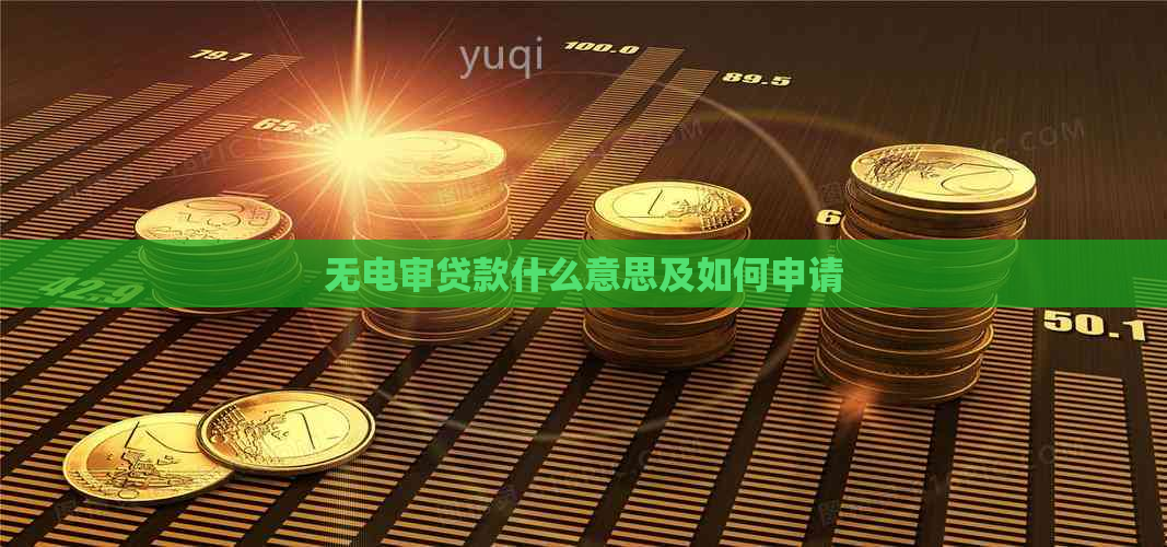 无电审贷款什么意思及如何申请