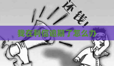 我在利信逾期了怎么办