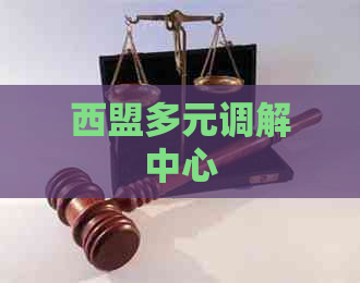 西盟多元调解中心