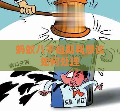 蚂蚁八千逾期利息该如何处理