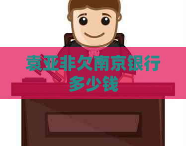 袁亚非欠南京银行多少钱