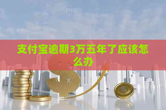 支付宝逾期3万五年了应该怎么办