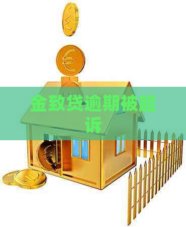 金致贷逾期被起诉
