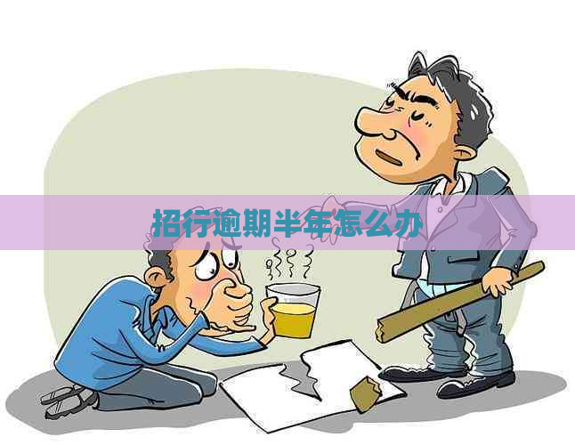 招行逾期半年怎么办