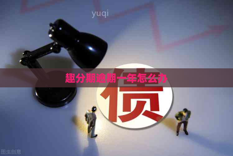 趣分期逾期一年怎么办