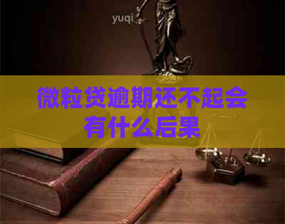 微粒贷逾期还不起会有什么后果