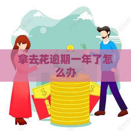 拿去花逾期一年了怎么办
