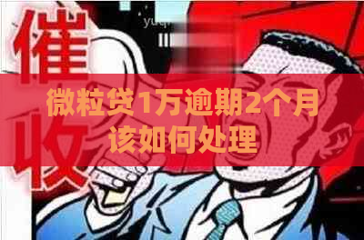 微粒贷1万逾期2个月该如何处理