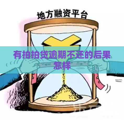 有逾期不还的后果怎样