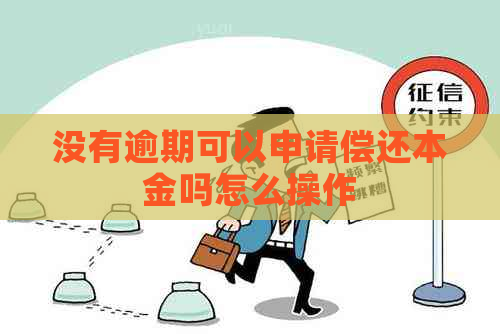 没有逾期可以申请偿还本金吗怎么操作