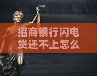 招商银行闪电贷还不上怎么办