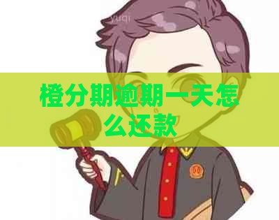 橙分期逾期一天怎么还款