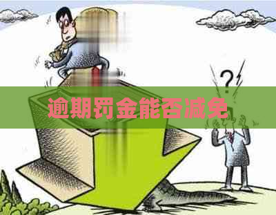 逾期罚金能否减免