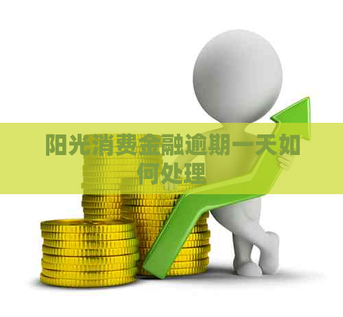 阳光消费金融逾期一天如何处理