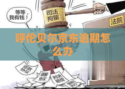 呼伦贝尔京东逾期怎么办