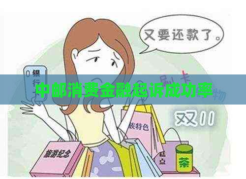中邮消费金融起诉成功率