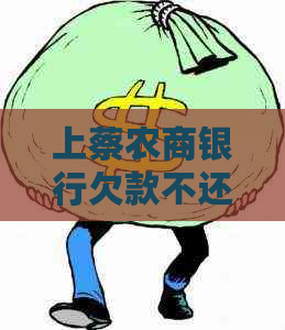 上蔡农商银行欠款不还后果严重吗