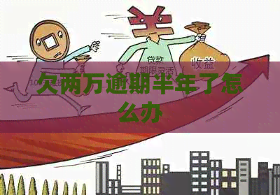欠两万逾期半年了怎么办 欠两万逾期半年了怎么办