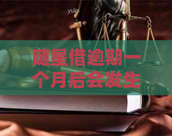 随星借逾期一个月后会发生什么