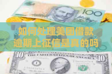 如何处理美团借款逾期上是真的吗问题