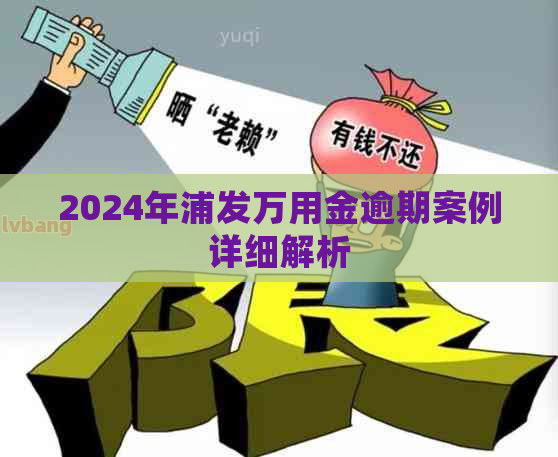 2024年浦发万用金逾期案例详细解析