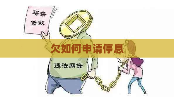 欠如何申请停息