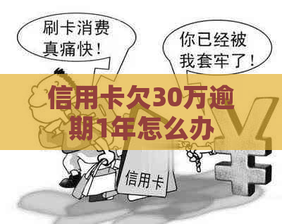 信用卡欠30万逾期1年怎么办