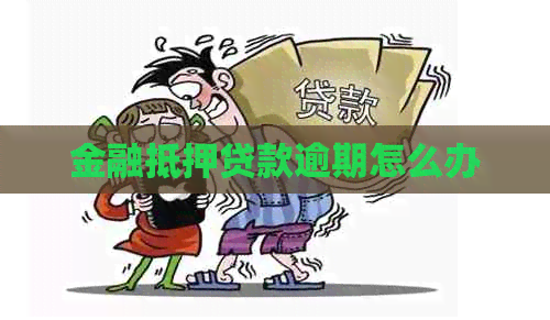 金融抵押贷款逾期怎么办