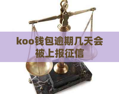 koo钱包逾期几天会被上报