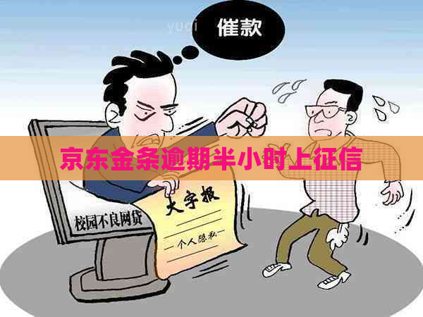 京东金条逾期半小时上