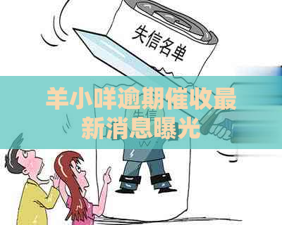 羊小咩逾期最新消息曝光