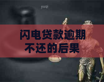 闪电贷款逾期不还的后果