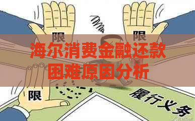 海尔消费金融还款困难原因分析