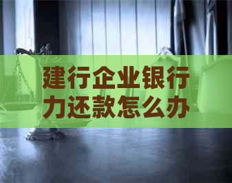 建行企业银行力还款怎么办
