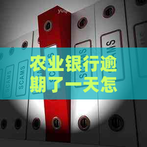 农业银行逾期了一天怎么办